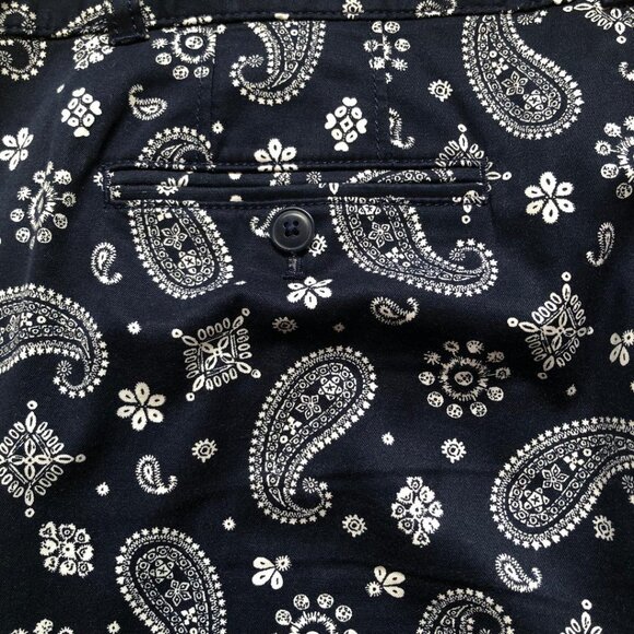 Talbots, The Weekend Chinos, Dark Blue w/White Paisley Print, Size 10 - Picture 5 of 9